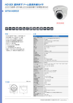 HD-SDI 屋外軒下ドーム型赤外線カメラ