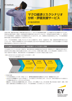 マクロ経済リスクシナリオ 分析・評価支援サービス