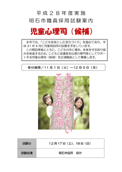 募集要項（PDF：341KB）