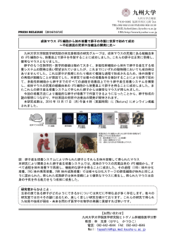 成体マウス iPS 細胞から体外培養で卵子の作製に世界で