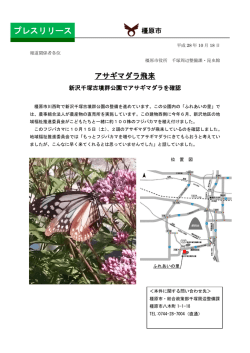 プレスリリース