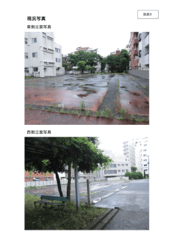 別添資料3 現況写真