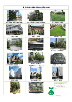 東京都都市緑化基金支援先の緑