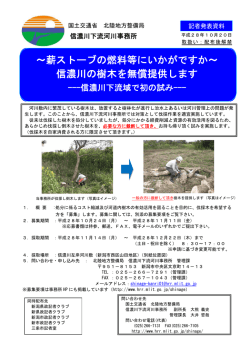 ～薪ストーブの燃料等にいかがですか～ 信濃川の樹木を無償提供します
