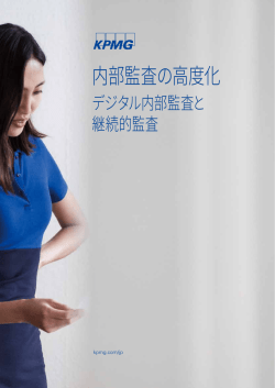 内部監査の高度化