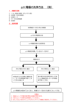 pH 電極の洗浄方法 （例）