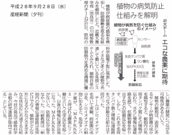 植物の病気防止 仕組みを解明 近大チーム エコな農薬に期待