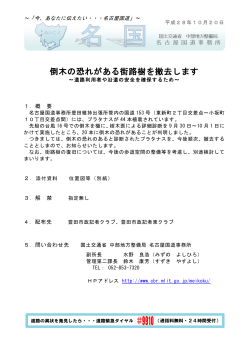 倒木の恐れがある街路樹を撤去します