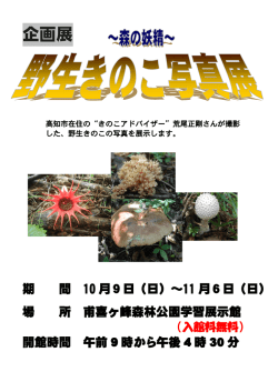 森の妖精～野生きのこ写真展