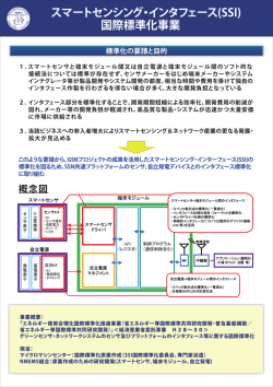 SSI標準
