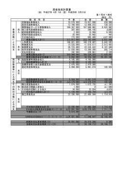 財務諸表 資金収支計算書様式1-1
