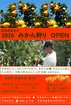 2016年みかん狩り収穫体験 - JAさが 佐賀県農業協同組合