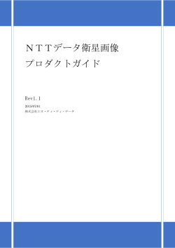 NTTデータ オルソ及びDEM加工プロダクトガイド（PDF）
