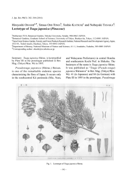 Summary / 要旨（PDF） - 植物研究雑誌 THE JOURNAL OF