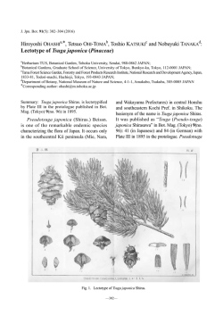 Summary / 要旨（PDF） - 植物研究雑誌 THE JOURNAL OF