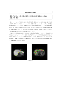 題目：グラフカットを用いた腹部造影 MR 画像からの肝臓領域の自動抽出
