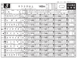 サラ3才以上