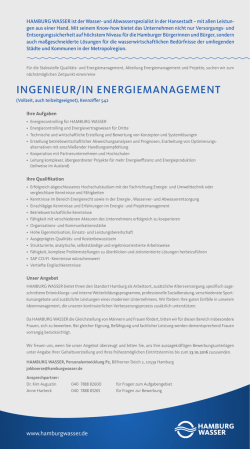 IngenIeur/In energIemanagement