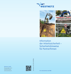 Information der Arbeitssicherheit &ndash; Sicherheitshinweise