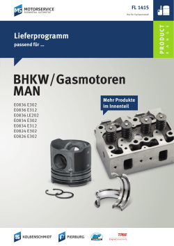 BHKW/Gasmotoren MAN - MS Motorservice International