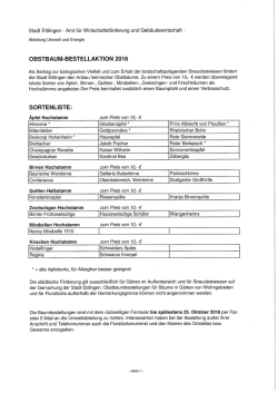 Page 1 Stadt Ettlingen - Amt für Wirtschaftsförderung und