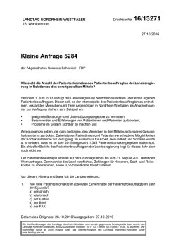 Drucksache 16/13271