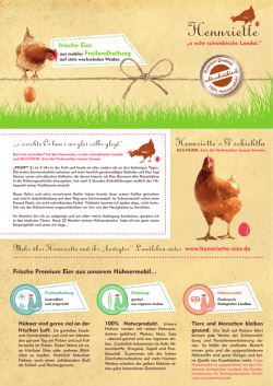 Hennriette-Flyer
