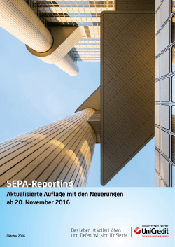 SEPA-Reporting - HypoVereinsbank