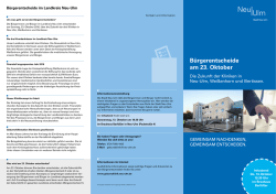 Infoflyer zu den B&uuml;rgerentscheiden  - Stadt Neu-Ulm
