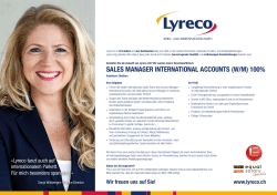 sales manager international accounts (w/m) 100%