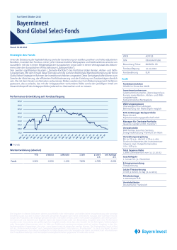 BayernInvest Bond Global Select-Fonds (pdf
