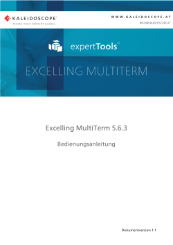 Excelling MultiTerm 5.6.3 - Kaleidoscope Golden Releases