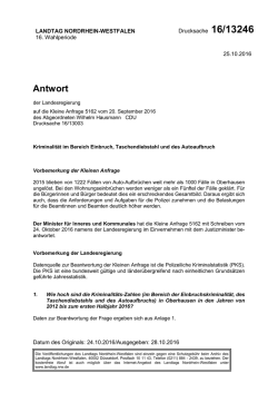 Drucksache 16/13246