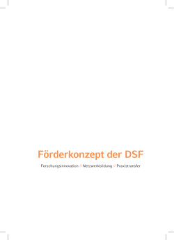Förderkonzept der DSF - Deutsche Stiftung Friedensforschung
