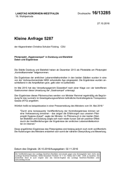 Drucksache 16/13285