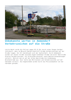 Unbekannte werfen in Ammendorf Verkehrszeichen