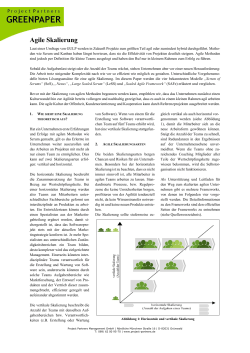 PDF - Greenpaper Agile Skalierung