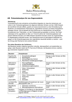 Informationen zur Potenzialanalyse