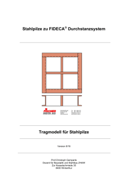 Tragmodell für FIDECA®-Stahlpilze (Prof. Ch