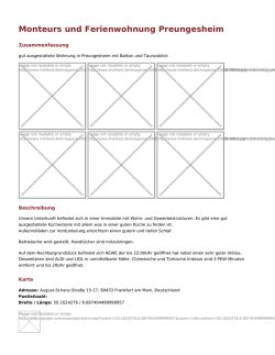 PDF-Flyer