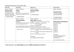Projektplan