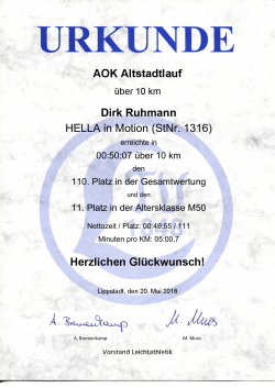 Dirk Ruhmann HELLA in Motion (StNr. 1316)
