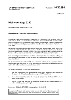Drucksache 16/13294