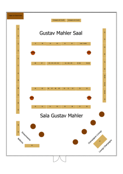 Gustav Mahler Saal Einteilung