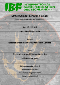 Street Combat Lehrgang in Laer