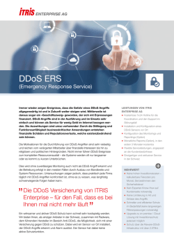 IEAG DDoS ERS DDoS ERS