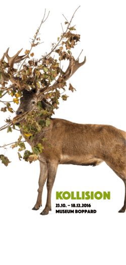 Kollision - Heike Negenborn