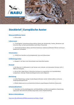 Steckbrief | Europäische Auster