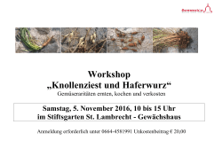 Workshop - Domenico St. Lambrecht