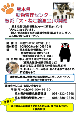 譲渡会チラシ